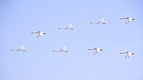 克苏鲁风格《原谅我，神父》正式发售 首发特惠促销